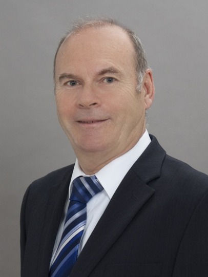 Rechtsanwalt  Dr. Michael Lowin